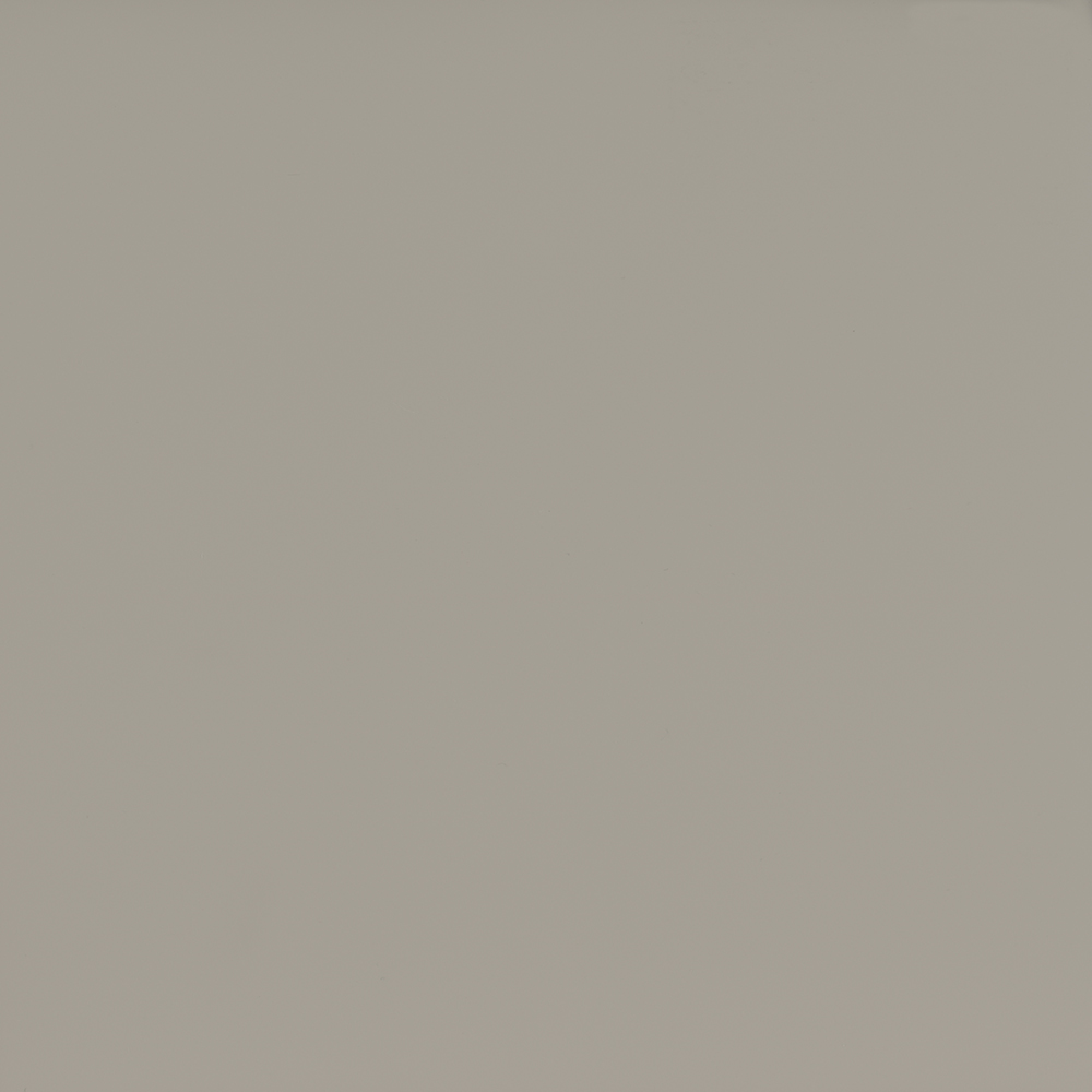 ПЕПЕЛЬНЫЙ АМЕТИСТ