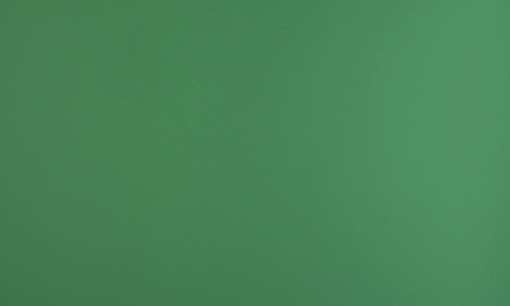 FENIX VERDE BRAC BLOOM 0773