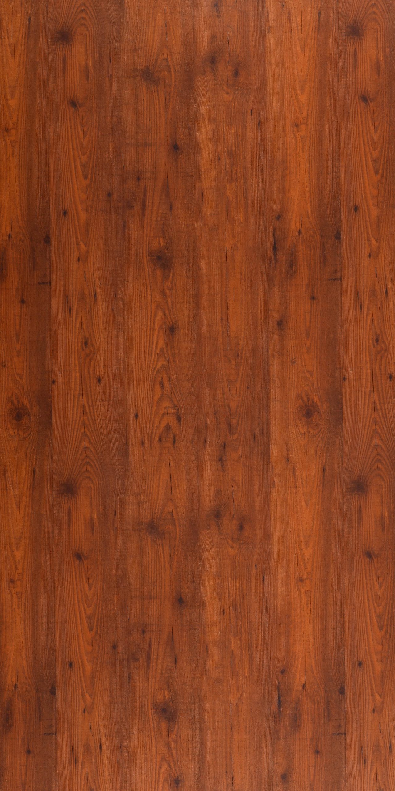 Сосна Новеченто