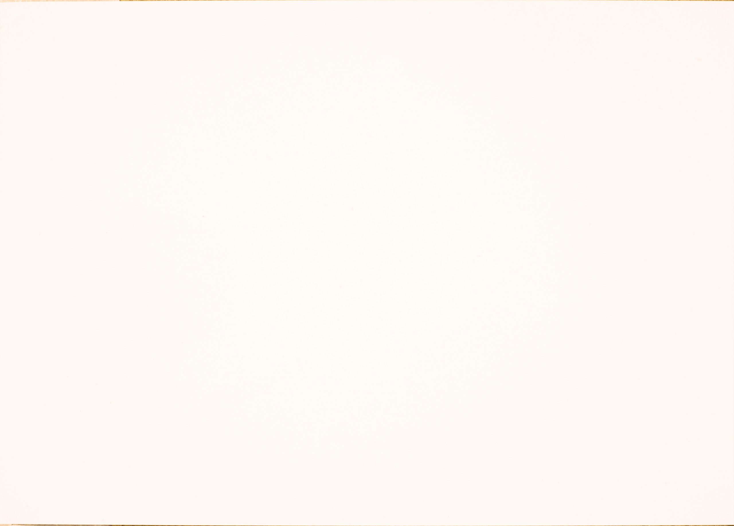 FENIX 0029 BIANCO MALE