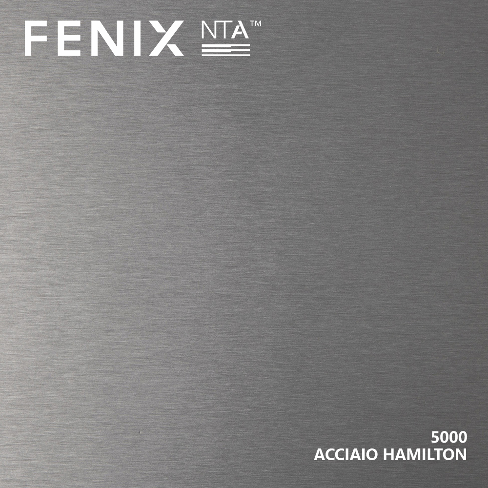 FENIX 5000 ACCIAIO HAMILTON