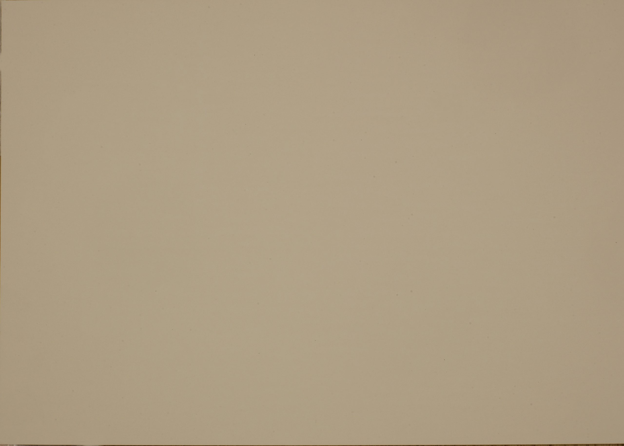 FENIX 0719 BEIGE LUXOR