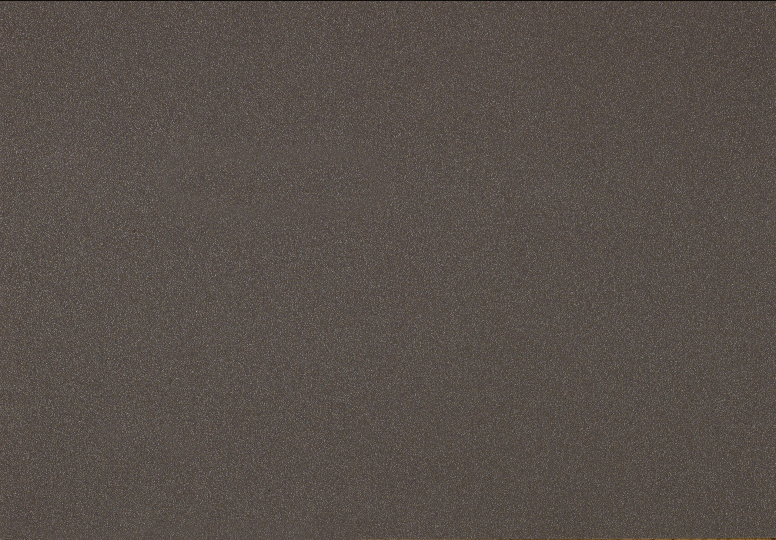 FENIX 2629 ARPA 2629 BRONZO DOHA