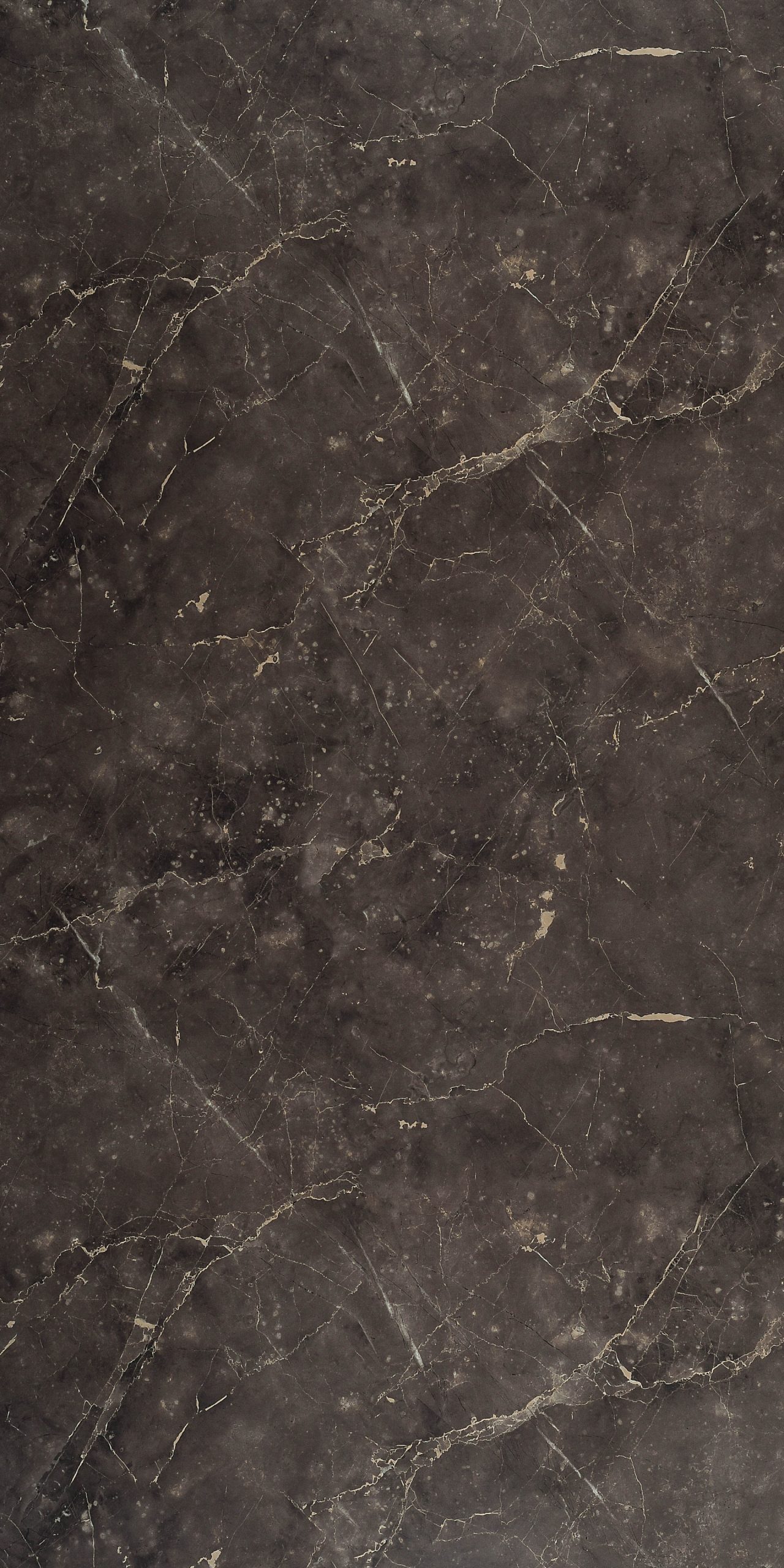 Венеция Стоун