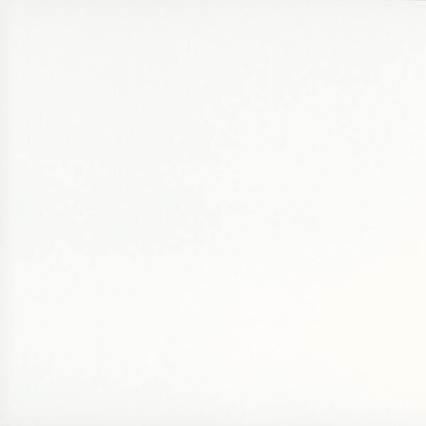 3006-Галакси матовый белый