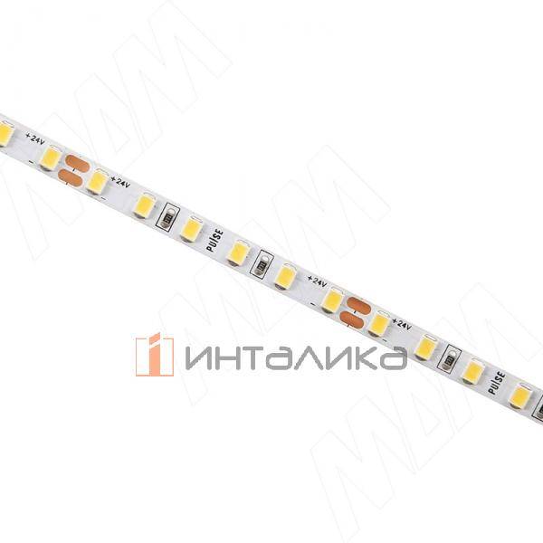 Лента светодиодная 2835/120, 24V, 5 м, основание 5 мм, холодный белый 6000К, IP20, 9.6W/1м (LS24-2835CW20-9.6C8) – 2