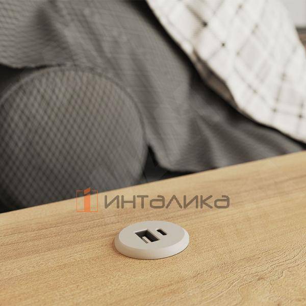 USB-розетка, врезная, 1 USB, 1 Type-C, никель матовый – 3