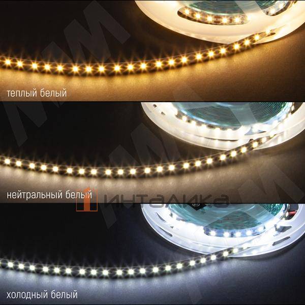 Лента светодиодная 2835/120, 24V, 5 м, холодный белый 6000К, IP20, 9.6W/1м – 4