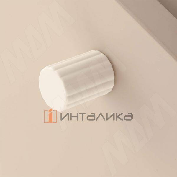 Ручка-кнопка D21мм белый матовый (WPO.846.030.00N3) – 2
