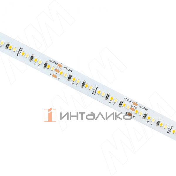 CCT Светодиодная лента 2216/240, 24V, 5 м, теплый белый - холодный белый 2700-6500К, IP20, 19.2W/1м – 2