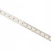 Превью LUX лента светодиодная 2219/150, 24V, свободная резка, 5 м, CRI 90, теплый белый 3000К, IP20, 12W/1м – 2