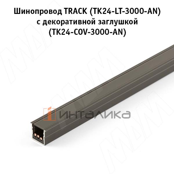 Трек / Track Шинопровод, 3000 мм, антрацит, 24 В