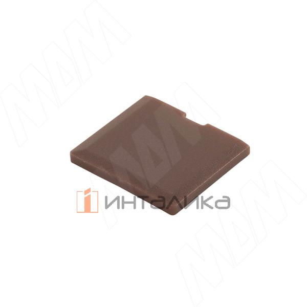 CAP.ES.EC20.BR.100